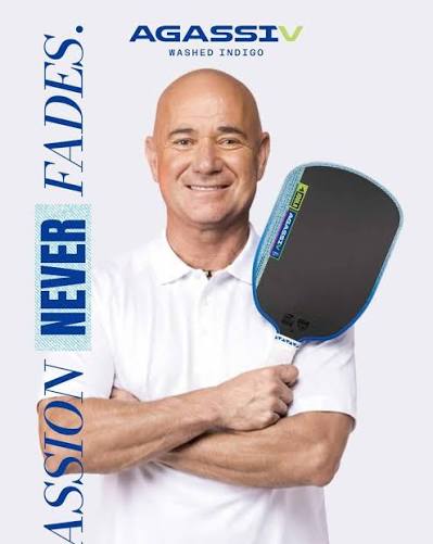 JOOLA Agassi V Washed Indigo Pickleball Paddle